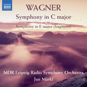 Symphony in E major (fragment): II. Adagio cantabile