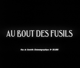 image-https://media.senscritique.com/media/000017890093/0/au_bout_des_fusils.png
