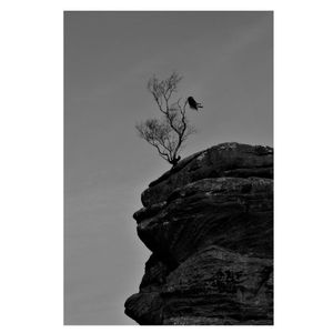 Beneath the Veil