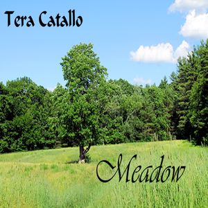 Meadow (Single)