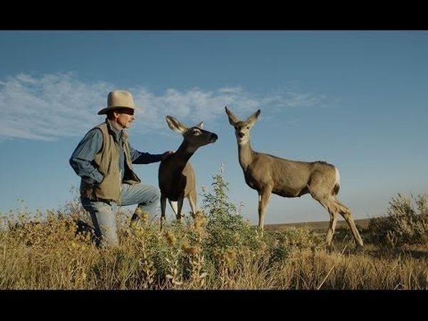 Touching the Wild