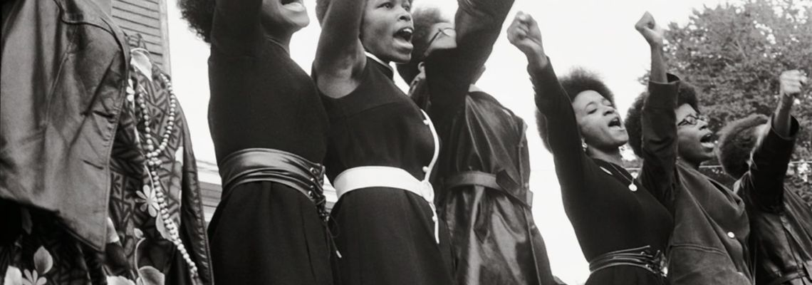 Cover Black Panthers : Prémices d’une révolution