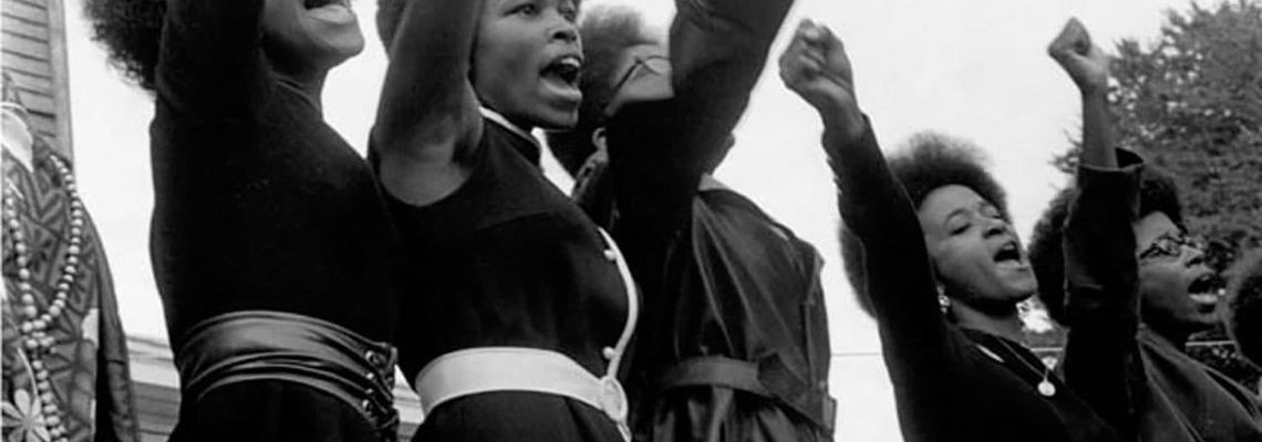 Cover Black Panthers : Prémices d’une révolution