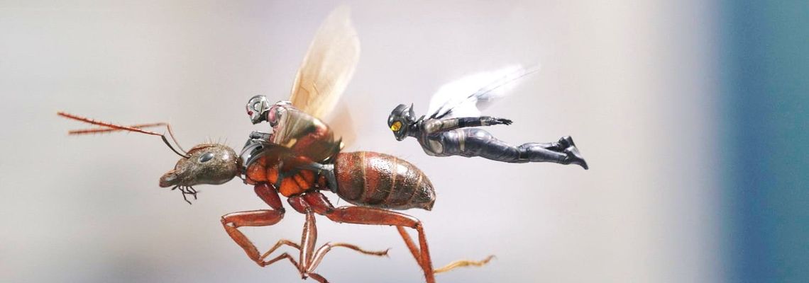 Cover Ant-Man et la Guêpe