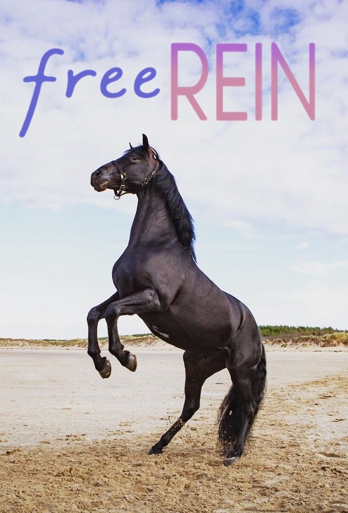 Free Rein Raven Horse Wallpaper