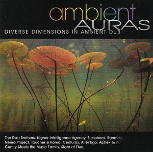 Ambient Auras: Diverse Dimensions in Ambient Dub