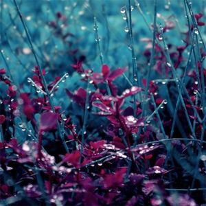 Films (instrumental version) (Single)