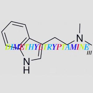 Dimethyltryptamine ＩＩＩ