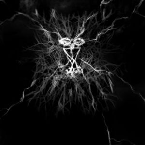 Mycelium IV