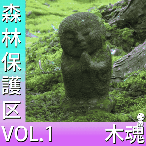 森林保護区 VOL.1
