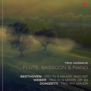 Trio for Flute, Bassoon and Piano in F Major: I. Larghetto
