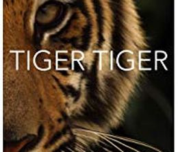 image-https://media.senscritique.com/media/000017911054/0/tiger_tiger.jpg