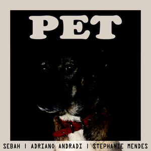 Pet (Single)