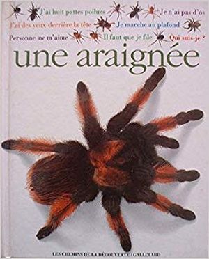 Qui suis-je ? une araignée