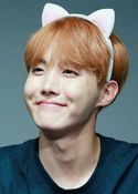 Jung Ho-Seok (J-Hope)