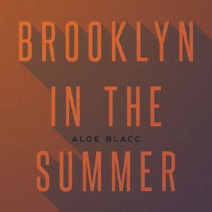 Brooklyn in the Summer (unplugged)