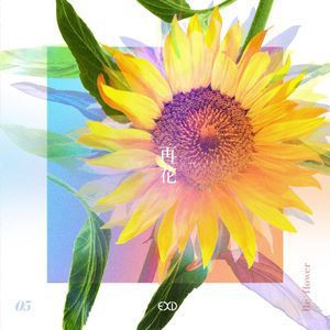 [Re:flower] PROJECT #5 (Single)