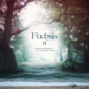 Fuchsia II : From Psychedelia to a Distant Place