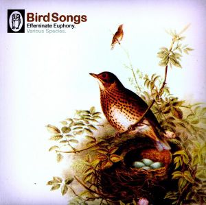 Bird Songs