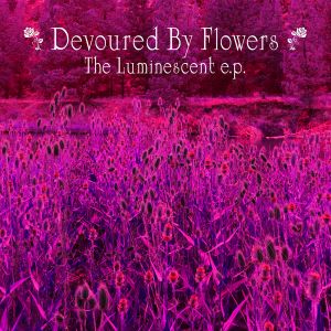 The Luminescent (EP)