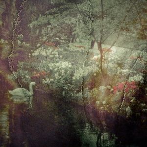 Cadence en pente douce