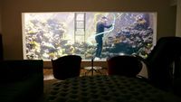 Le club des Chicago Cubs. La maison aquarium. Le bateau de l'amour.