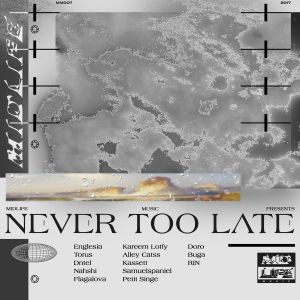 Never Too Late