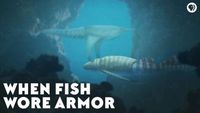 When Fish Wore Armor