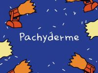 Pachyderme