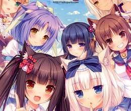 image-https://media.senscritique.com/media/000017939850/0/nekopara.jpg