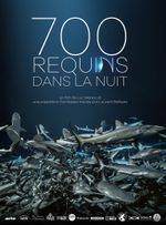 Affiche 700 requins dans la nuit