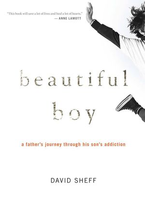 Beautiful Boy : A Father's Journey Through His Son's Addiction