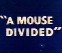 image-https://media.senscritique.com/media/000017945537/0/a_mouse_divided.jpg