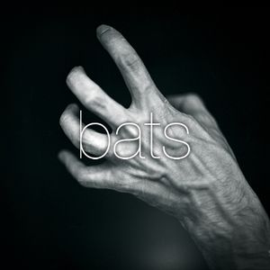 Bats (A Song for Ukraine) (Single)