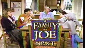 A Family for Joe