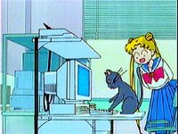 Computer School Blues