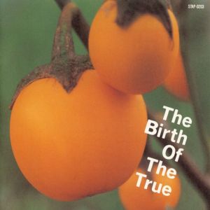 グライダーと長靴 (Birth of the True mix)