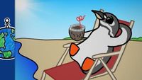 Why Are There Penguins At The Equator?