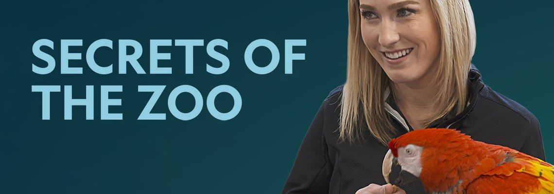 Cover Au coeur du zoo