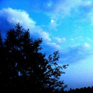 Nocturnal Waltz