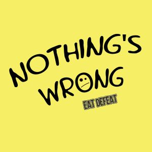 Nothing's Wrong (Single)