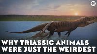 Why Triassic Animals Were Just the Weirdest