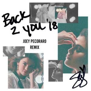 Back to You (Joey Pecoraro remix)