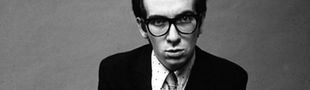 Cover Elvis Costello's 500 Albums You Need