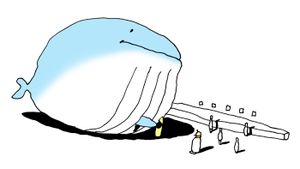 Tiffany the whale: Death on the runway