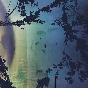 Petals Have Fallen (Single)