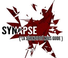 image-https://media.senscritique.com/media/000017974822/0/Synapse_La_serendipite_nous_guide.jpg