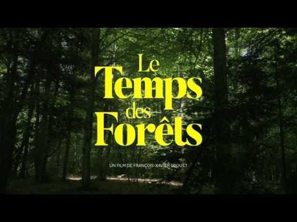 Le Temps des forêts