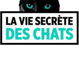 image-https://media.senscritique.com/media/000017990645/0/la_vie_secrete_des_chats.jpg