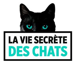 image-https://media.senscritique.com/media/000017990647/0/la_vie_secrete_des_chats.jpg